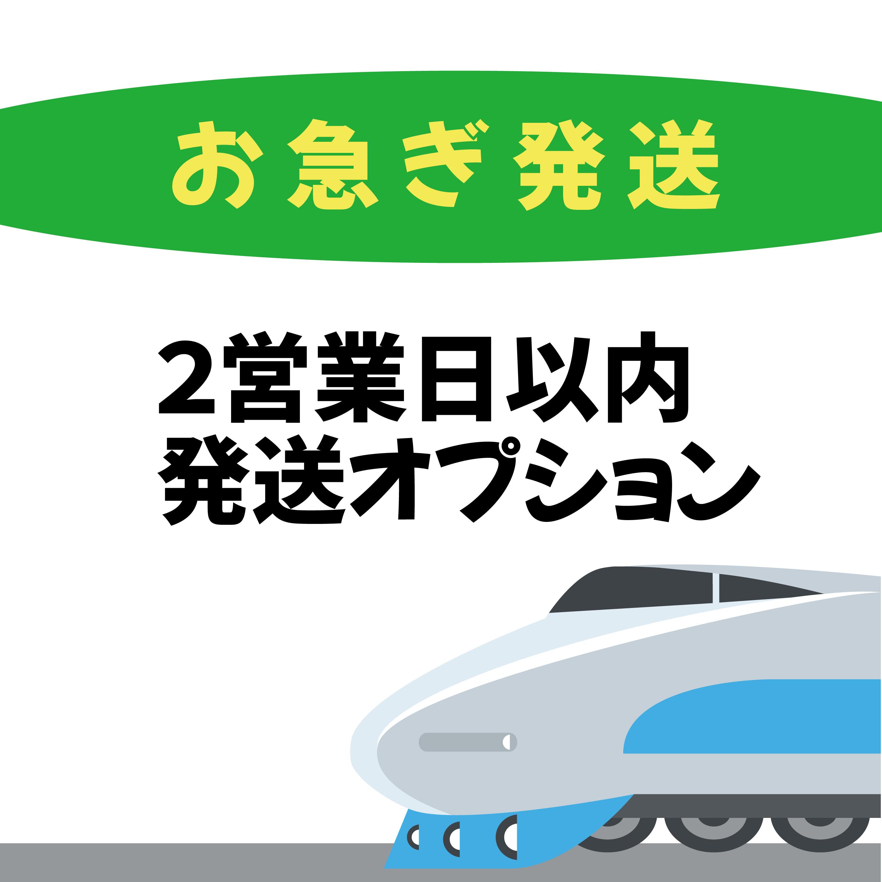 お急ぎ発送（データ確定後、２営業日以内に発送）追加購入用　